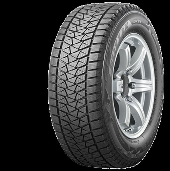 Шины Bridgestone Dm V2 Купить